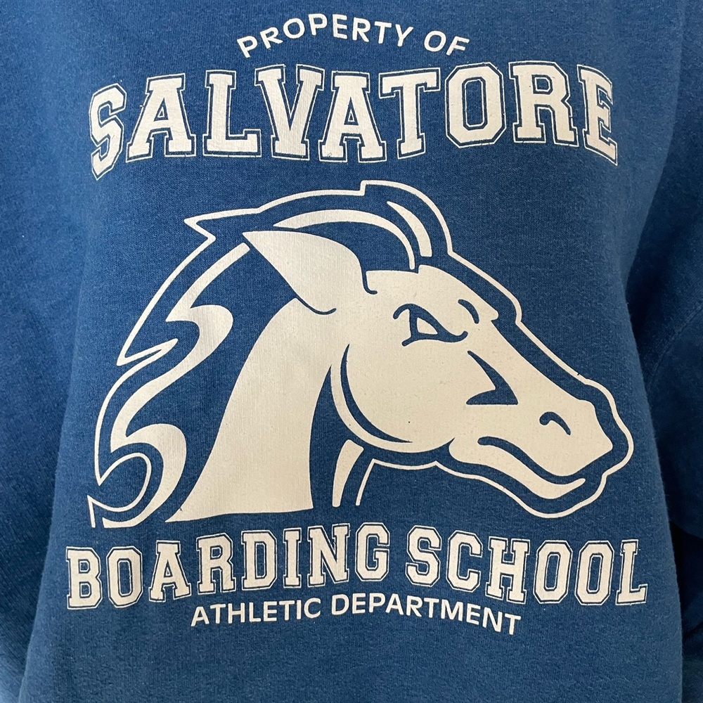 Blue Sweater -  Salvatore Boarding School Design from the vampire diaries